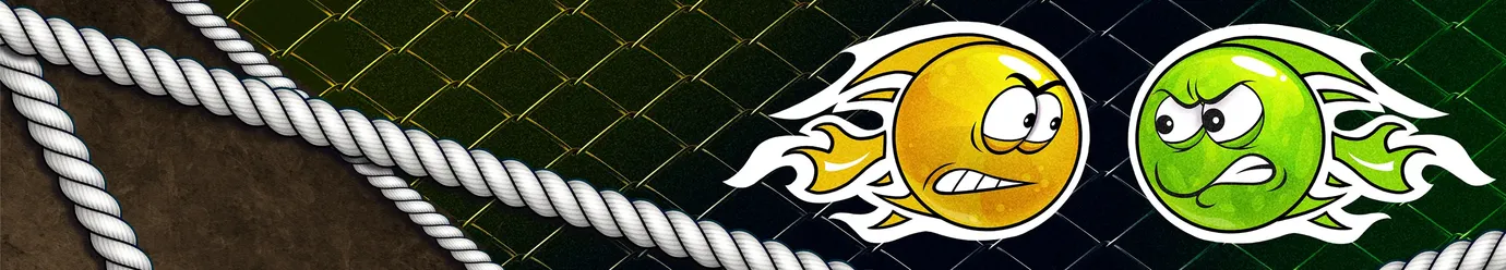 International MMA league